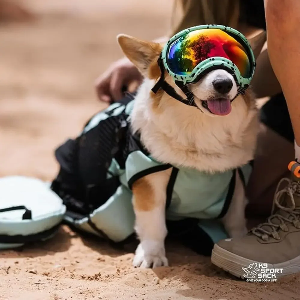 Dog Carrier Backpack - Black